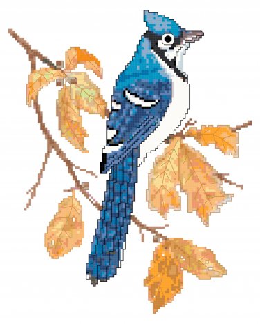 Autumn Bluejay by Kate Robards Pattern Chart Graph