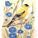 Summer Goldfinch by Kate Robards Pattern Chart Graph
