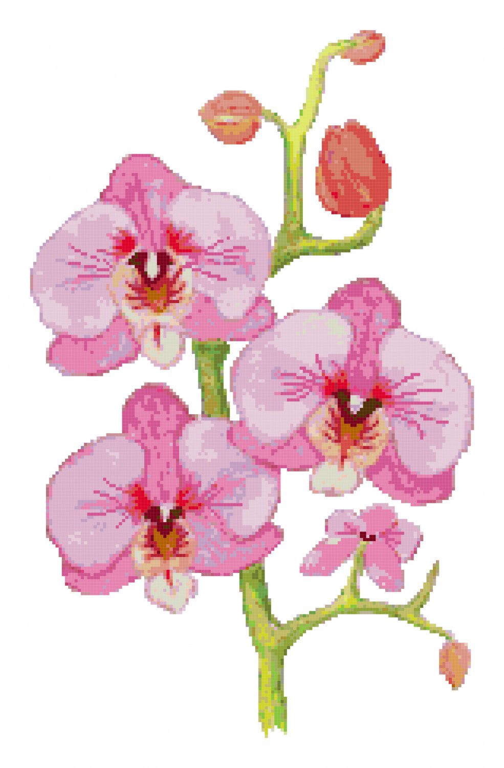 Pink Orchids Pattern Chart Graph