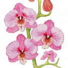 Pink Orchids Pattern Chart Graph