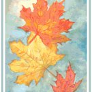 Falling Maple Leaves Pattern Chart Graph