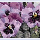 Purple Pansies' Charm Pattern Chart Graph Purple Pansies' Charm Pattern Chart Graph