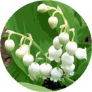 Lily of the Valley Circlet Pattern Chart Graph