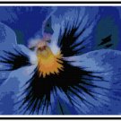 Striking Deep Blue Pansy Pattern Chart Graph Striking Deep Blue Pansy Pattern Chart Graph
