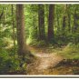 A Summer Stroll Through the Woods Pattern Chart Graph