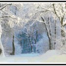 Winter Enchantment Pattern Chart Graph