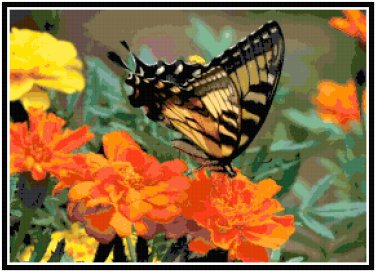 Beautiful Butterfly 3  Pattern Chart Graph