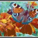 Beautiful Butterfly 2  Pattern Chart Graph