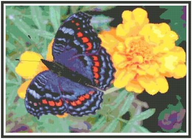 Beautiful Butterfly 1  Pattern Chart Graph
