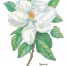 Southern Magnolia Cross Stitch Pattern Chart Graph