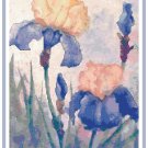 Iris Garden 1 Cross Stitch Pattern Chart Graph Iris Garden 1 Cross Stitch Pattern Chart Graph