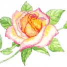 Peace Rose Cross Stitch Pattern Chart Graph