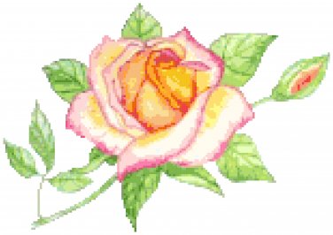 Peace Rose Cross Stitch Pattern Chart Graph