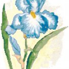 Sky Blue Iris Cross Stitch Pattern Chart Graph Sky Blue Iris Cross Stitch Pattern Chart Graph