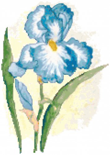 Sky Blue Iris Cross Stitch Pattern Chart Graph