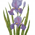 Deep Purple Iris Pattern Chart Graph