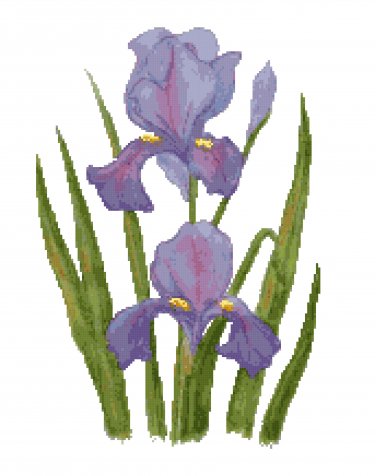 Deep Purple Iris Pattern Chart Graph