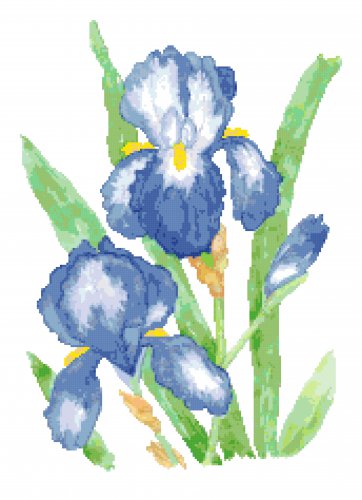 Evening Blue Iris Pattern Chart Graph