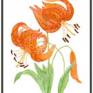 Tiger Lilies Pattern Chart Graph Tiger Lilies Pattern Chart Graph