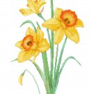 Scarlet O'Hara Daffodils Pattern Chart Graph Scarlet O'Hara Daffodils Pattern Chart Graph