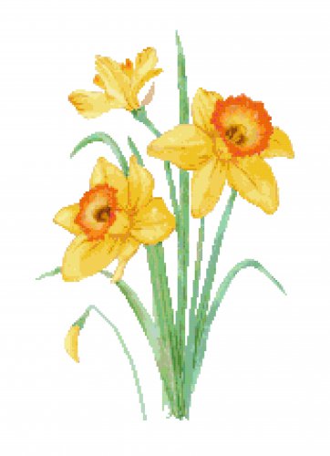 Scarlet O'Hara Daffodils Pattern Chart Graph
