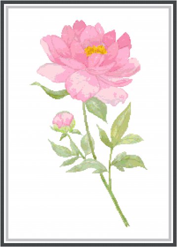 Light Pink Peony Pattern Chart Graph