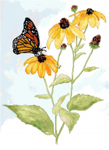 Black Eyed Susans" Visitor Pattern Chart Graph