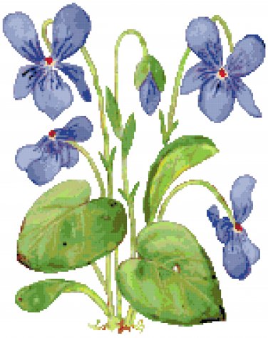 Wood Violets Pattern Chart Graph