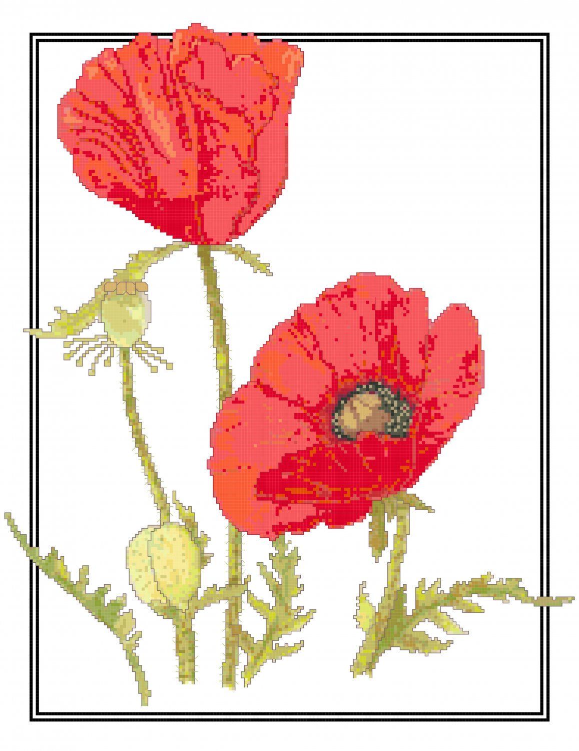 Red Poppies Pattern Chart Graph