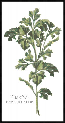 Parsley Herb Pattern Chart Graph