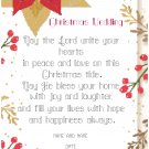 Winter Poinsettia and Holly Berries Wedding Sampler Pattern Chart Graph