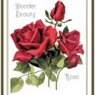 The Hoosier Beauty Rose Counted Cross Stitch Pattern Chart Graph