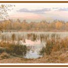 Hunter's Lake Pattern Chart Graph