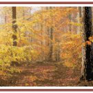 Glory of the Autumn Woods Pattern Chart Graph