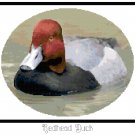 Redhead Duck Pattern Chart Graph