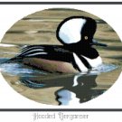 Hooded Merganser Duck Pattern Chart Graph
