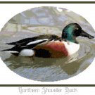 Northern Shoveler Duck Pattern Chart Graph
