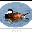 Ruddy Duck Pattern Chart Graps