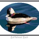Bufflehead Duck Pattern Chart Graph