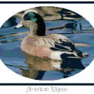 American Wigeon Duck Pattern Chart Graph