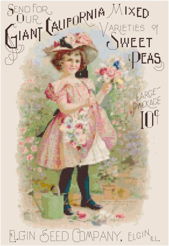 Elgin, IL Seed Catalog Little Girl 1904 Cover - Sweetpeas