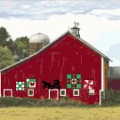 Wisconsin Amish Quilt Barn  Pattern Chart Graph