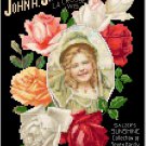 Salzer Seed Catalog Cover Sunshine Roses 1902 Pattern Chart Graph