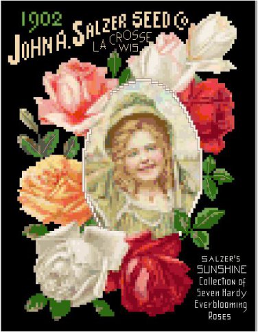 Salzer Seed Catalog Cover Sunshine Roses 1902 Pattern Chart Graph
