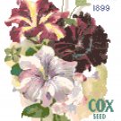 Cox Seed Com0any Catalog Cover 1899 Petunias Pattern Chart Graph