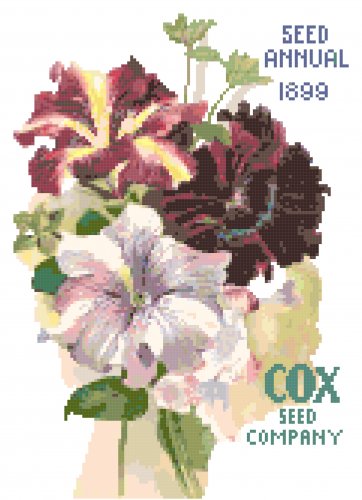 Cox Seed Com0any Catalog Cover 1899 Petunias Pattern Chart Graph