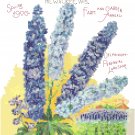 Currie Seed Catalog Cover 1906 Larkspur Pattern Chart Graph