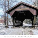 Springwater Volunteer Covered Bridge, Wild Rose, WI  Pattern Chart Graph