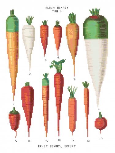 Carrots - Ernst Benary Collection  Pattern Chart Graph
