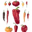 Chili Peppers - Ernst Benary Collection  Pattern Chart Graph